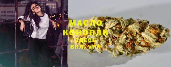 индика Нефтекумск