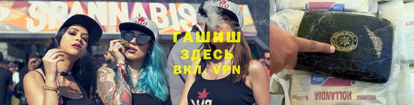 индика Нефтекумск