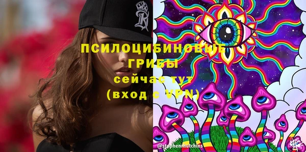 бошки Нея