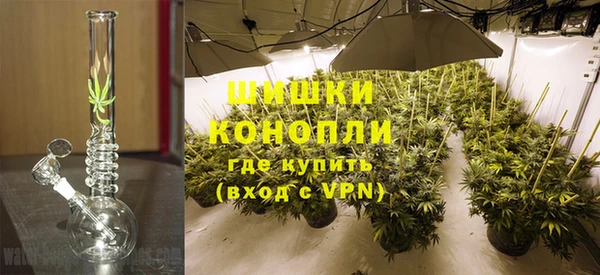 индика Нефтекумск