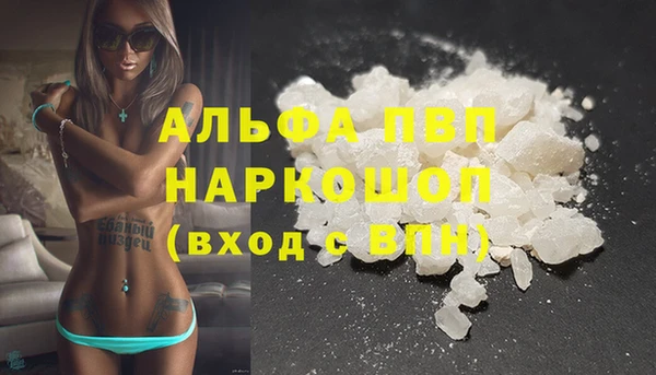 индика Нефтекумск