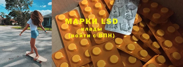 индика Нефтекумск