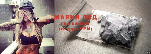 индика Нефтекумск