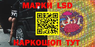 МДПВ Лесосибирск